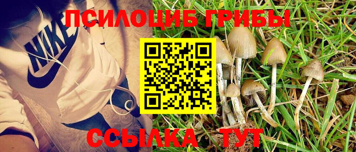 Галлюциногенные грибы мухоморы Заинск